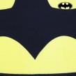 Πετσέτα θαλάσσης Batman logo - DC