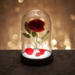 Φωτιστικό Enchanted Rose Light - Beauty and Beast