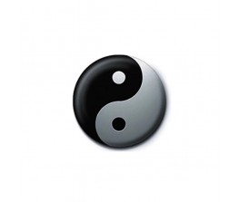 Pin Yin Yang Logo