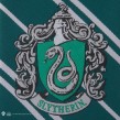 Γραβάτα Υφασμάτινη Slytherin - Harry Potter