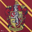 Γραβάτα Υφασμάτινη Gryffindor - Harry Potter