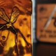 Mosquito in Amber - Jurassic Park