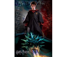 Αφίσα Harry Potter and the Goblet of Fire-dragon 