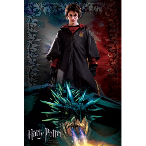 Αφίσα Harry Potter and the Goblet of Fire-dragon 