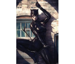 Αφίσα DC Catwoman - Spot Light