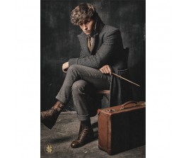 Αφίσα Newt Scamander - Fantastic Beasts