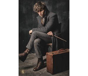 Αφίσα Newt Scamander - Fantastic Beasts