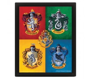 Κάδρο 3D Colourful Crest - Harry Potter