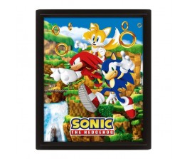 Κάδρο 3D Catching Rings - Sonic