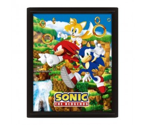 Κάδρο 3D Catching Rings - Sonic