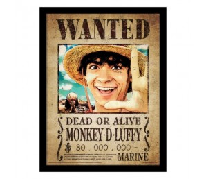 Κάδρο Luffy Wanted Poster - One Piece