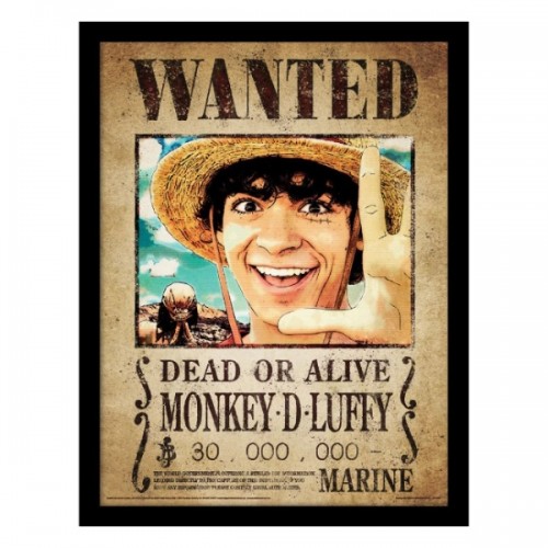 Κάδρο Luffy Wanted Poster - One Piece