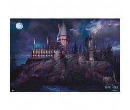Αφίσα Harry Potter Hogwarts
