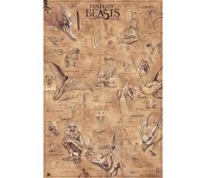 Αφίσα Beasts - Fantastic Beasts