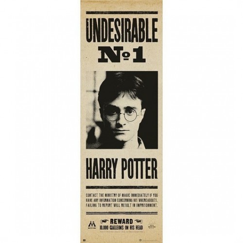 Αφίσα Πόρτας Undesirable No1 - Harry Potter