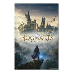 Αφίσα Harry Potter Legacy