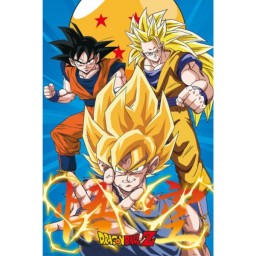 Αφίσα 3 Gokus Evolutions - Dragon Ball Z