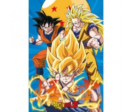 Αφίσα 3 Gokus Evolutions - Dragon Ball Z